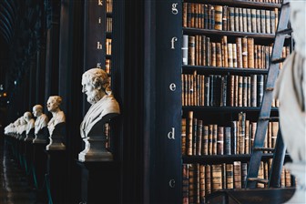 family law expert