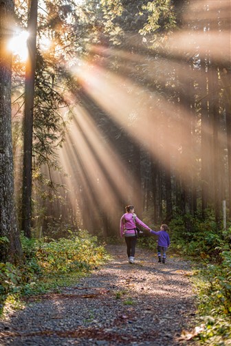top family law advice