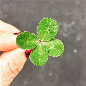 lottery divorce prenuptial