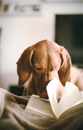 Divorce reading list